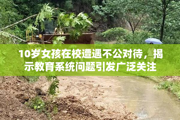 10岁女孩在校遭遇不公对待，揭示教育系统问题引发广泛关注
