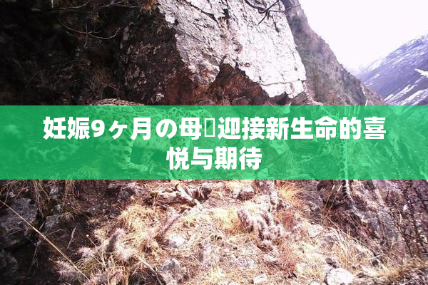 妊娠9ヶ月の母親迎接新生命的喜悦与期待