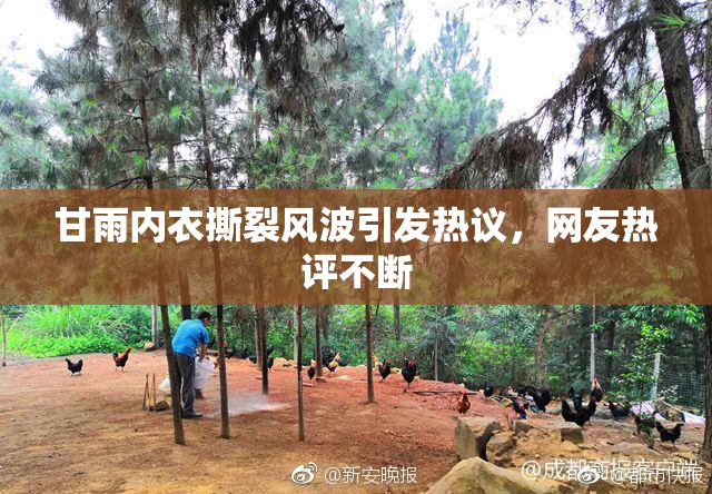 甘雨内衣撕裂风波引发热议，网友热评不断