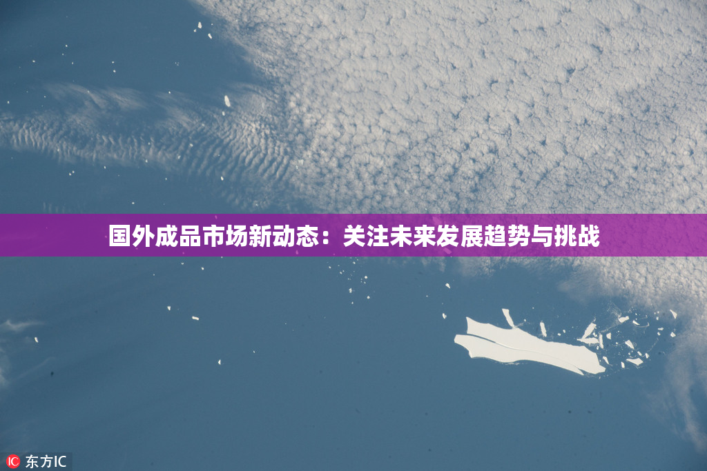 国外成品市场新动态：关注未来发展趋势与挑战