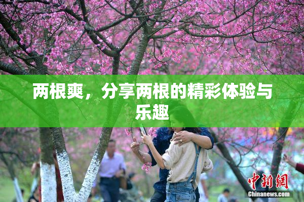 两根爽，分享两根的精彩体验与乐趣