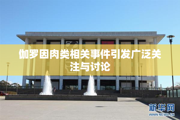伽罗因肉类相关事件引发广泛关注与讨论
