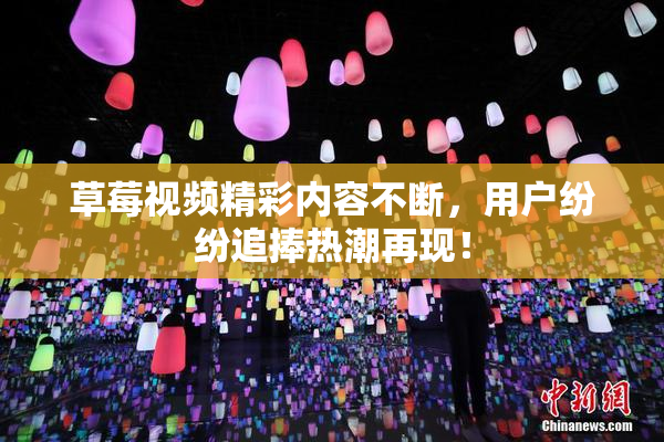 草莓视频精彩内容不断，用户纷纷追捧热潮再现！