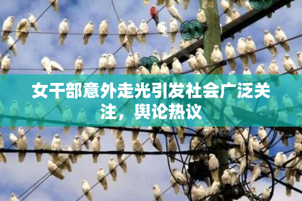 女干部意外走光引发社会广泛关注，舆论热议