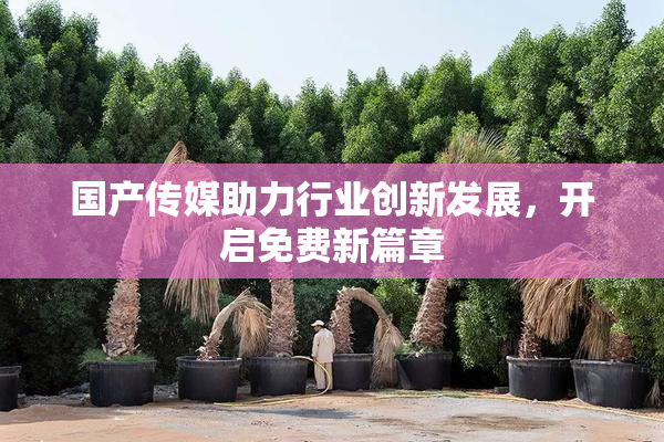 国产传媒助力行业创新发展，开启免费新篇章