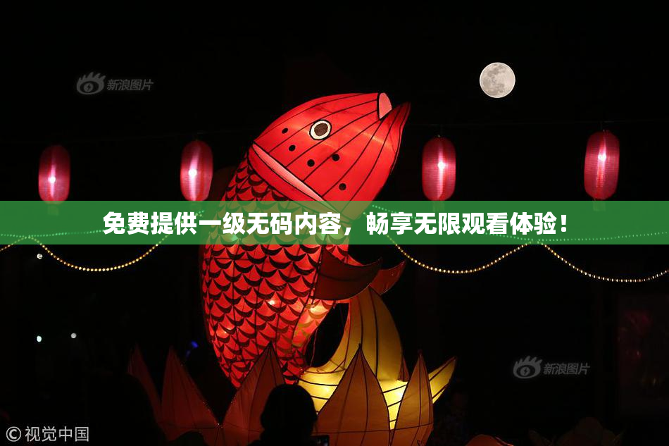 免费提供一级无码内容，畅享无限观看体验！