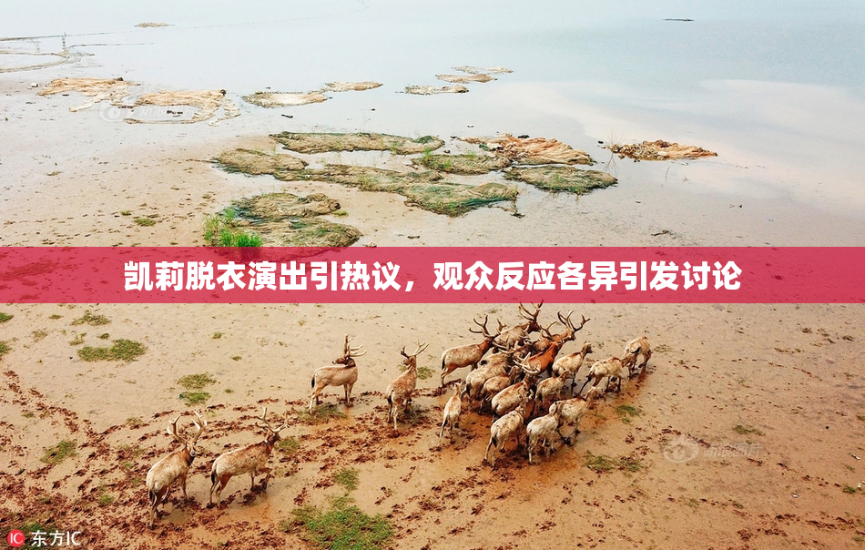 凯莉脱衣演出引热议，观众反应各异引发讨论