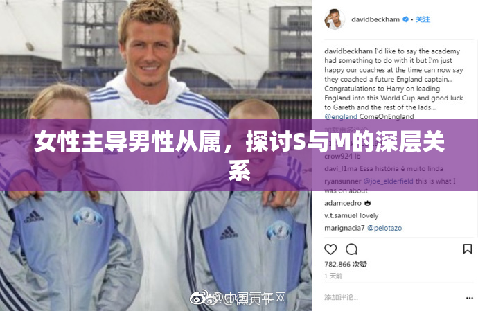女性主导男性从属，探讨S与M的深层关系