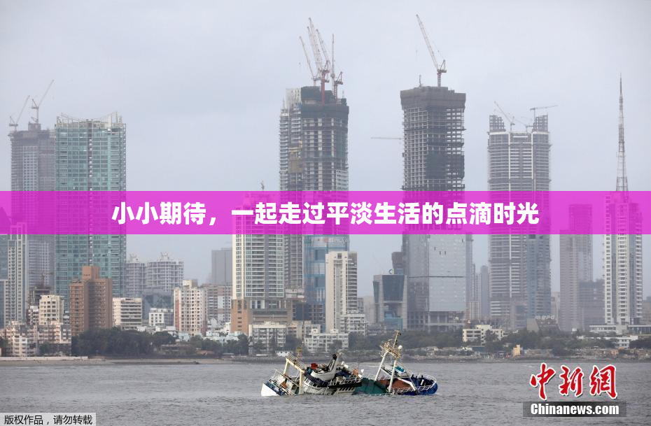 小小期待，一起走过平淡生活的点滴时光