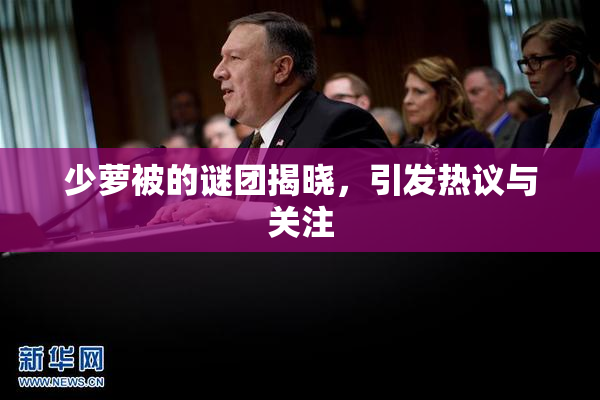 少萝被的谜团揭晓，引发热议与关注