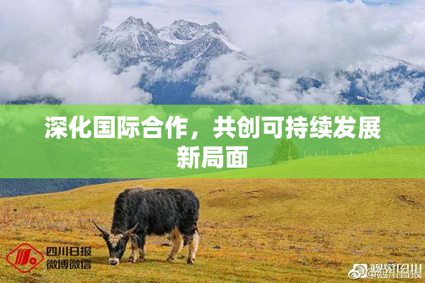 深化国际合作，共创可持续发展新局面