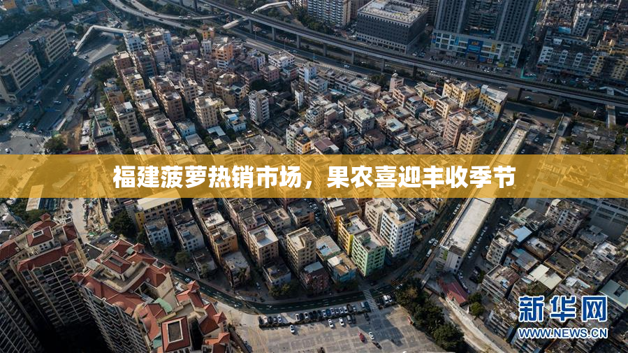 福建菠萝热销市场，果农喜迎丰收季节