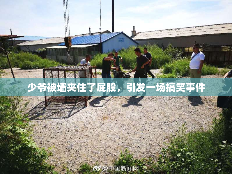 少爷被墙夹住了屁股，引发一场搞笑事件