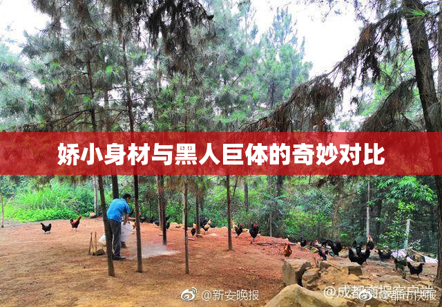 娇小身材与黑人巨体的奇妙对比