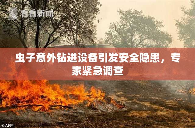 虫子意外钻进设备引发安全隐患，专家紧急调查
