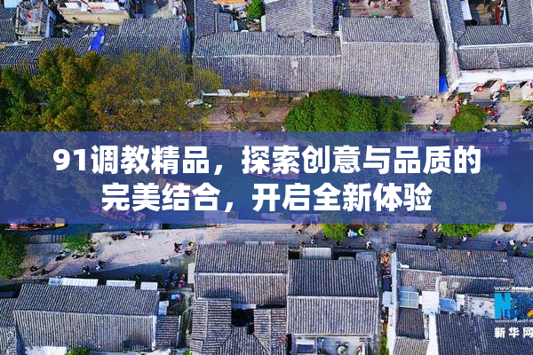 91调教精品，探索创意与品质的完美结合，开启全新体验