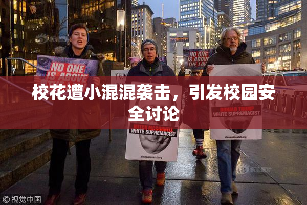 校花遭小混混袭击，引发校园安全讨论