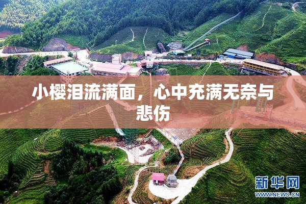 小樱泪流满面，心中充满无奈与悲伤