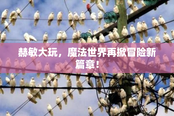 赫敏大玩，魔法世界再掀冒险新篇章！