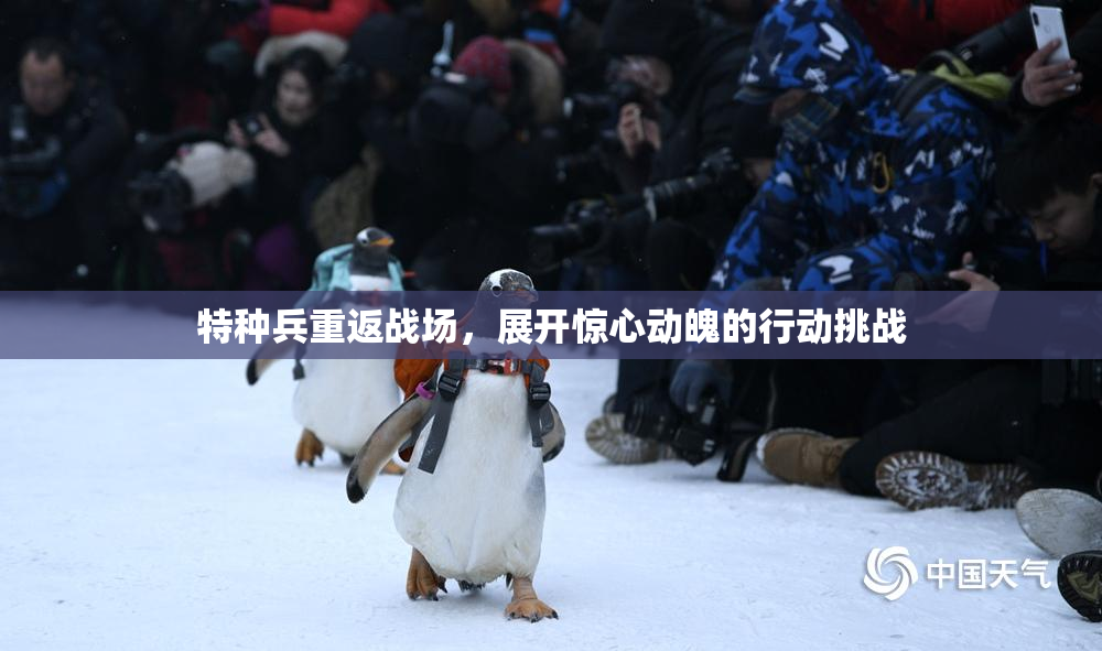 特种兵重返战场，展开惊心动魄的行动挑战