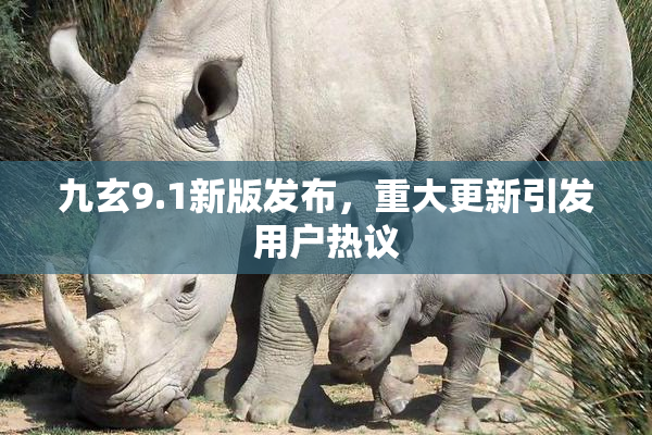 九玄9.1新版发布，重大更新引发用户热议