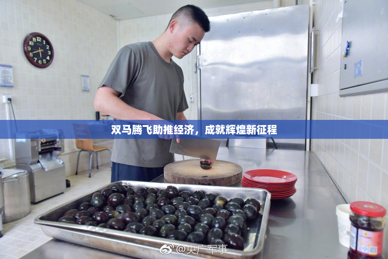 双马腾飞助推经济，成就辉煌新征程