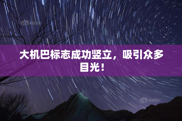 大机巴标志成功竖立，吸引众多目光！