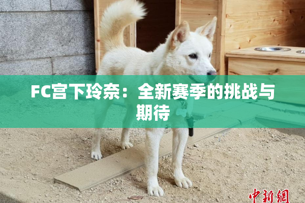 FC宫下玲奈：全新赛季的挑战与期待