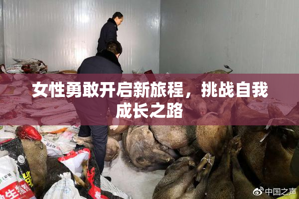 女性勇敢开启新旅程，挑战自我成长之路