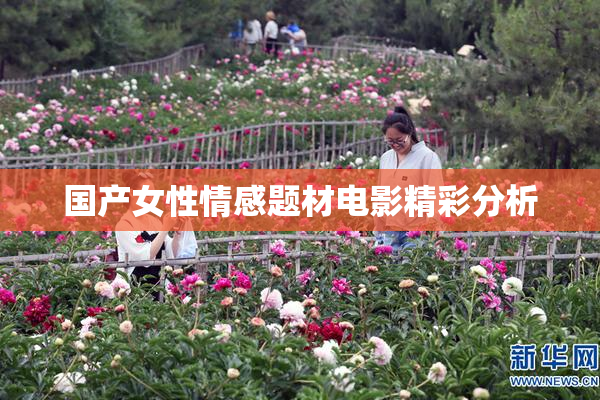 国产女性情感题材电影精彩分析