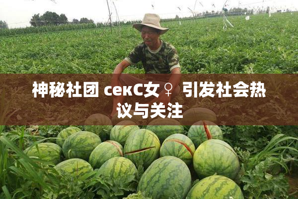 神秘社团 секС女♀ 引发社会热议与关注