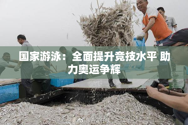 国家游泳：全面提升竞技水平 助力奥运争辉