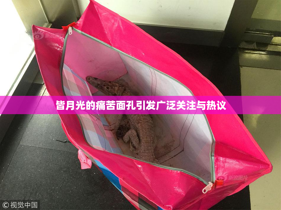 皆月光的痛苦面孔引发广泛关注与热议