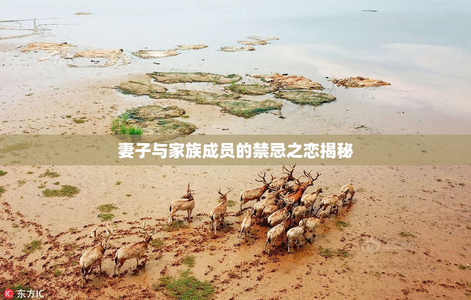 妻子与家族成员的禁忌之恋揭秘