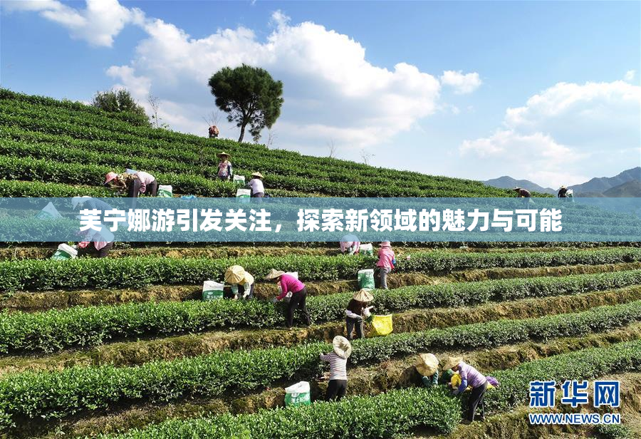 芙宁娜游引发关注，探索新领域的魅力与可能