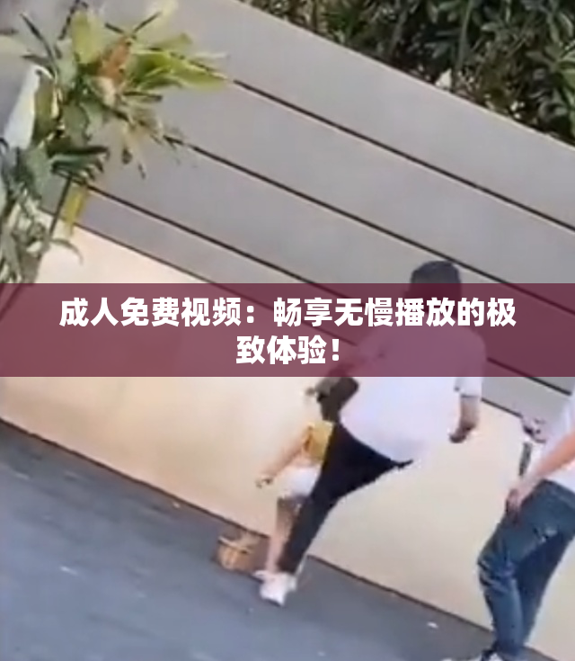 成人免费视频：畅享无慢播放的极致体验！