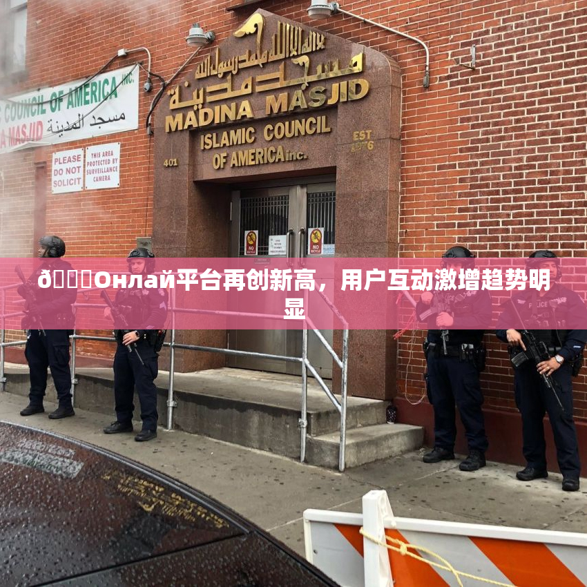 🐔Oнлай平台再创新高，用户互动激增趋势明显