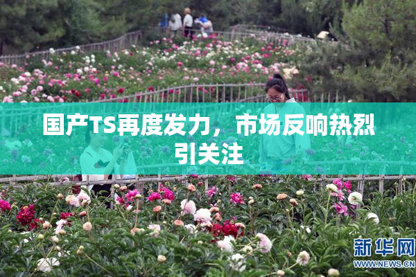 国产TS再度发力，市场反响热烈引关注