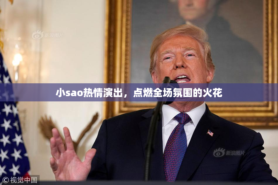 小sao热情演出，点燃全场氛围的火花