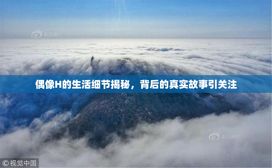 偶像H的生活细节揭秘，背后的真实故事引关注