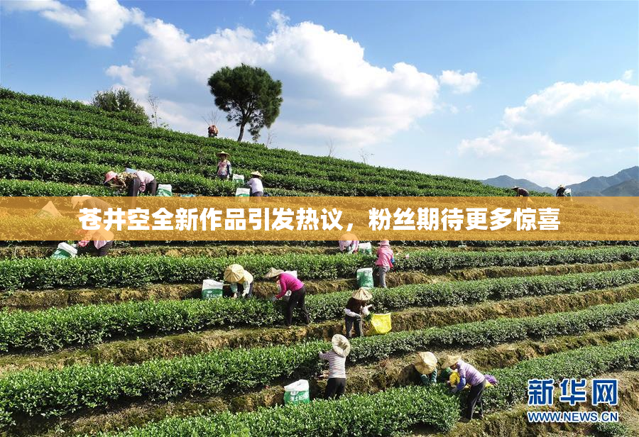 苍井空全新作品引发热议，粉丝期待更多惊喜