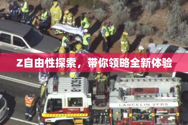 Z自由性探索，带你领略全新体验