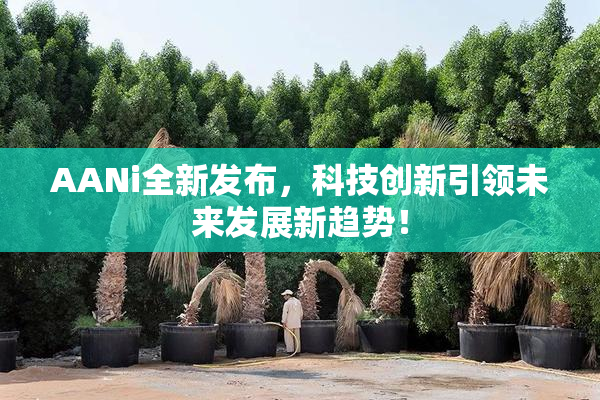 AANi全新发布，科技创新引领未来发展新趋势！