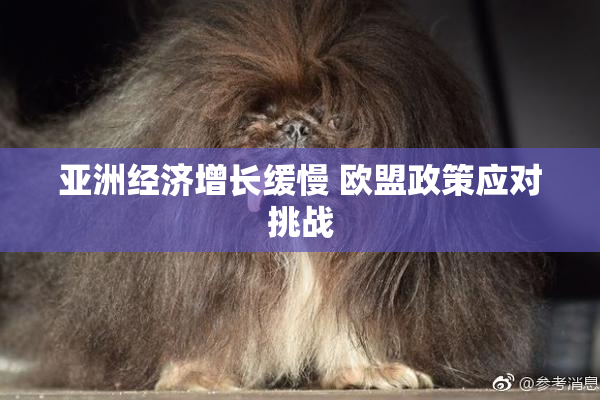 亚洲经济增长缓慢 欧盟政策应对挑战