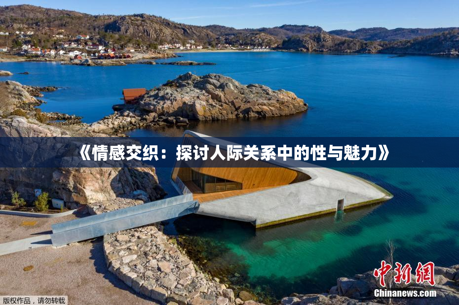 《情感交织：探讨人际关系中的性与魅力》
