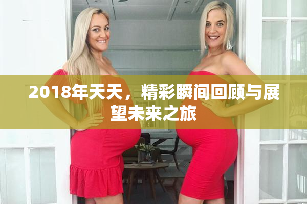 2018年天天，精彩瞬间回顾与展望未来之旅