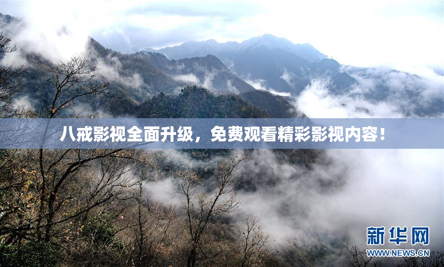 八戒影视全面升级，免费观看精彩影视内容！