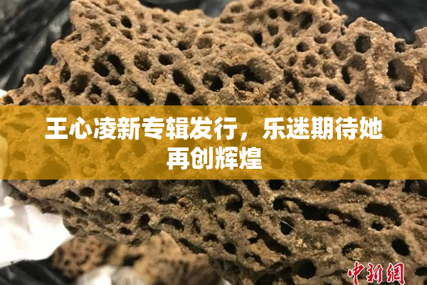 王心凌新专辑发行，乐迷期待她再创辉煌