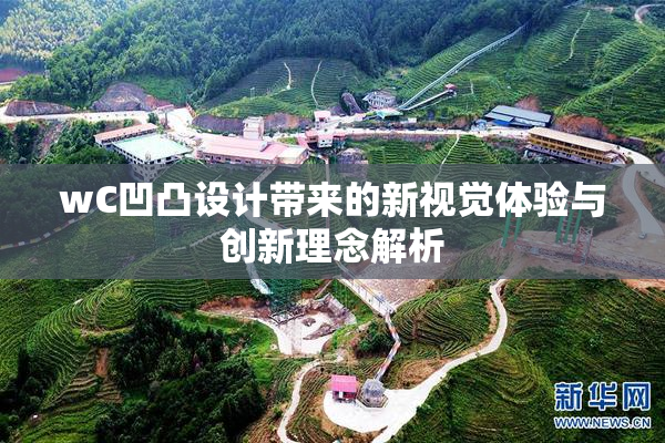 wC凹凸设计带来的新视觉体验与创新理念解析
