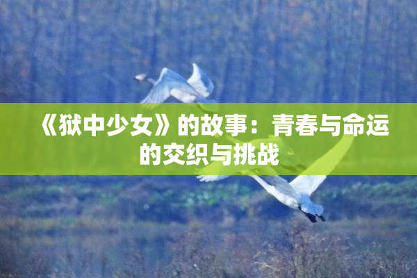 《狱中少女》的故事：青春与命运的交织与挑战